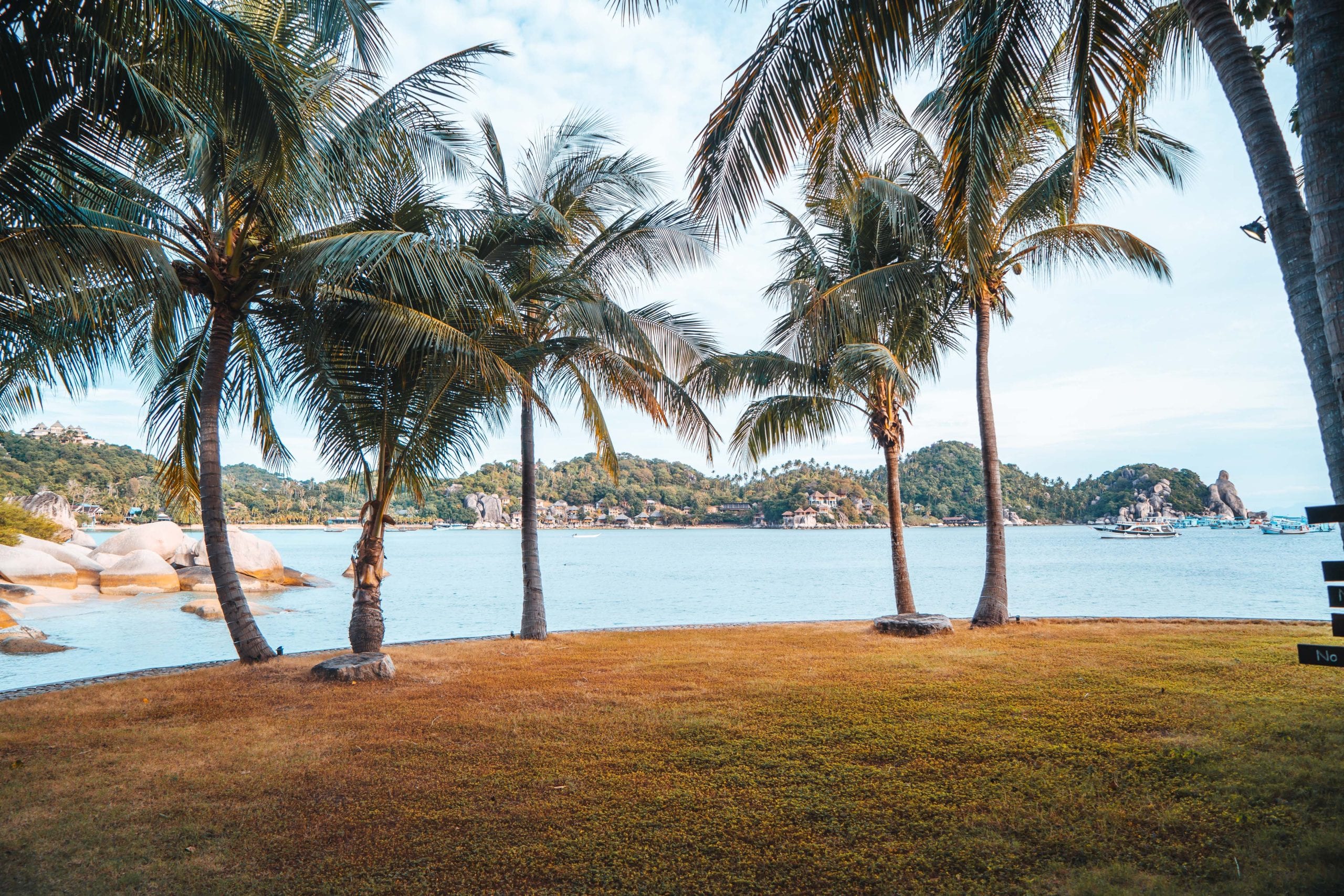 Quiet ground on Koh Tao, the parts worth treating carefully