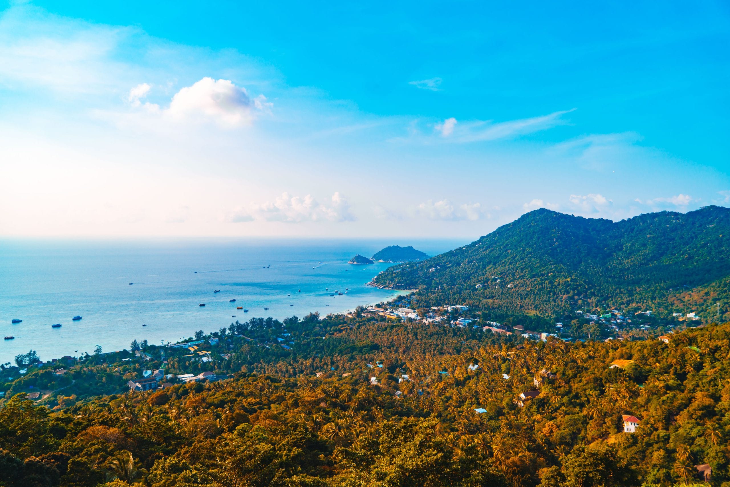 A Koh Tao viewpoint reached on a short jungle walk