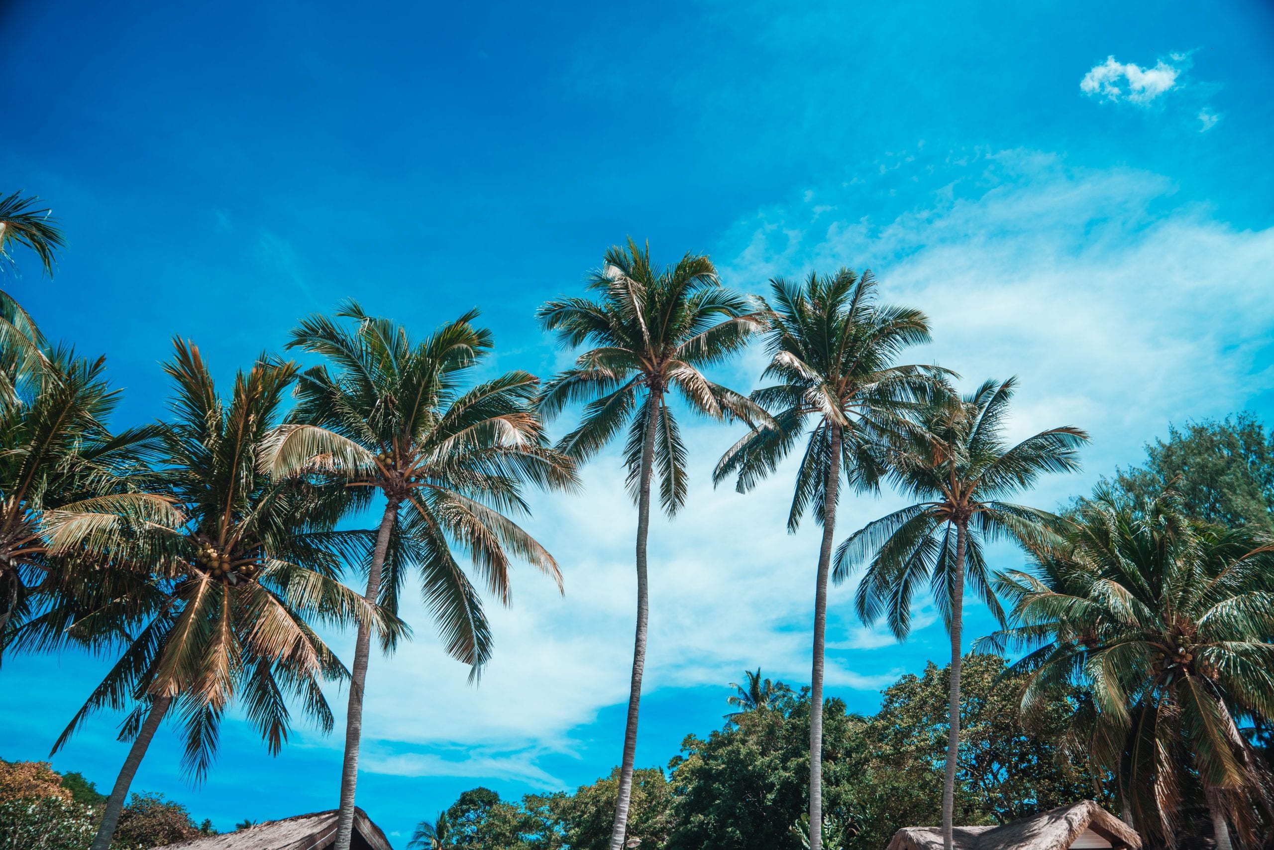 Backpacker Koh Tao, longtail boats and a beach that costs nothing to sit on