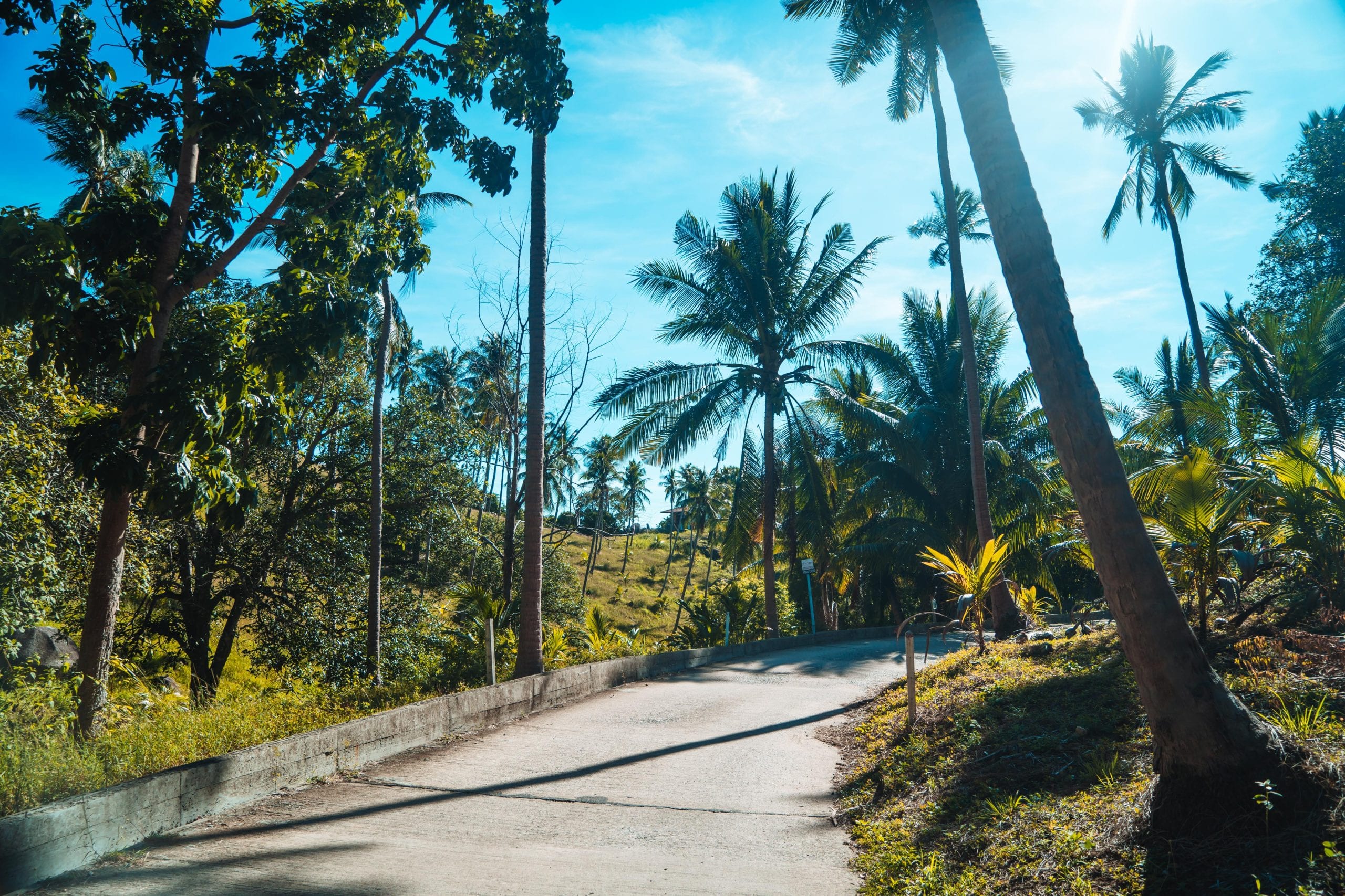 A steep section of Koh Tao road, the reason scooter advice matters here