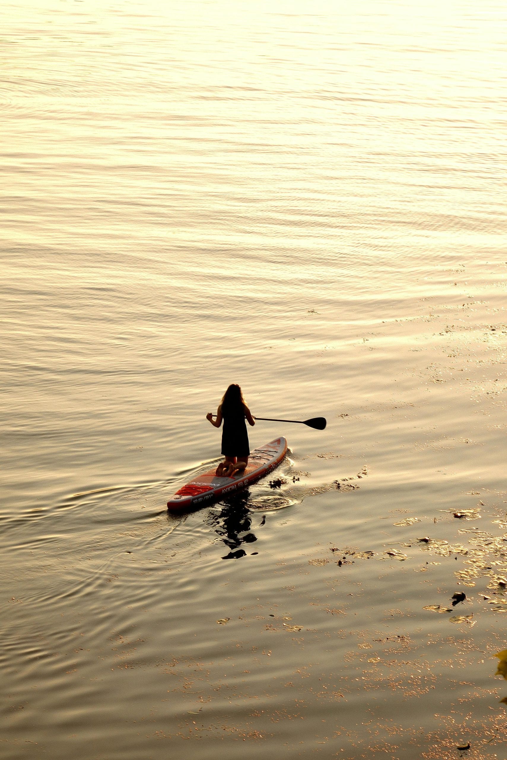 A paddleboarder on flat water off Koh Tao at first light